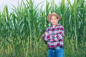 un contadino asiatico con una camicia a quadri si trova in un campo. foto