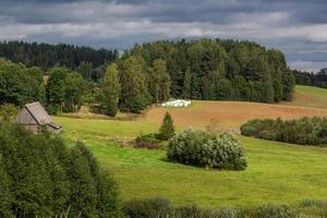 estate paesaggi nel Lettonia foto