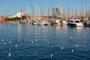 marina nel Barcellona su un' soleggiato giorno foto