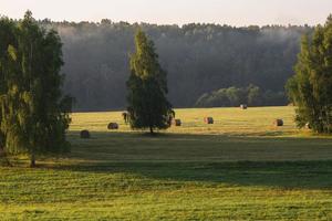 lettone estate paesaggi foto