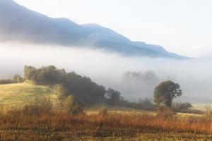 paesaggi a partire dal tzoumerka naturale parco foto