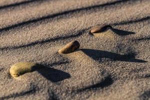modelli nel il mare sabbia a tramonto foto