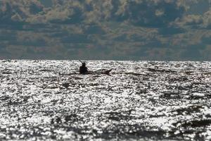 paesaggi a partire dal baltico mare foto