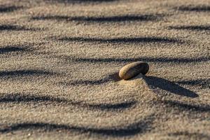 modelli nel il mare sabbia a tramonto foto