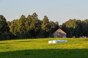 lettone estate paesaggi foto