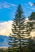 bellissimo montagna paesaggio città panorama foresta alberi natura costa rica. foto