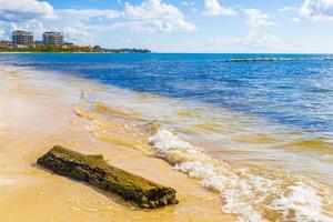 bellissimo caraibico spiaggia con lavato su albero tronco legna Messico. foto