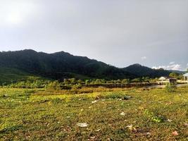 bellissimo naturale scenario durante il giorno foto