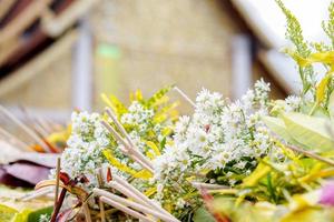 avvicinamento e colture mucchio di fragrante fiori con incenso per culto il Budda su sfocato tailandese tempio santuario e blu sfondo. foto