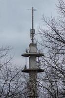 grande Radio albero per mobile Telefono foto