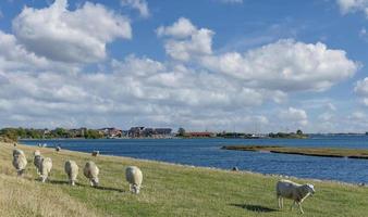 Visualizza per villaggio di lemkenhafen, fehmarn, baltico mare,schleswig-holstein,germania foto