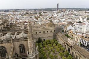 siviglia Cattedrale tetto foto