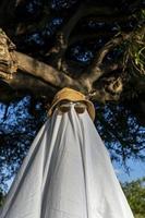 fantasma con scintillante cappello, fantasma con foglio e occhiali da sole con Halloween tema, Messico foto