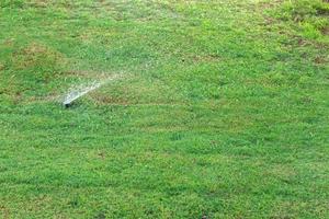 spruzzatore nel giardino irrigazione il prato. automatico irrigazione prati concetto foto