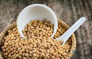 semi di soia o soia fagioli grano seme su bambù cestino bianca tazza e cucchiaio su rustico legna sfondo foto