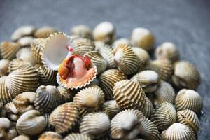 fresco vongole mollusco frutti di mare su buio sfondo - crudo sangue tellina foto