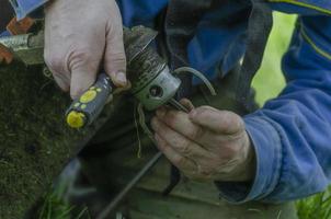 sostituzione il pesca linea nel un' prato falciatore con utensili foto