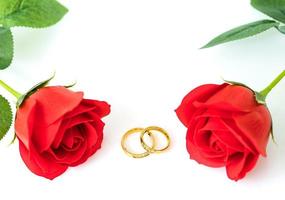 rose rosse e anelli d'oro su bianco foto