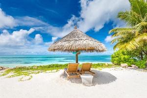 bellissimo estate vacanza paesaggio. esotico spiaggia, rilassare turismo viaggio striscione. sedie o lettini su Perfetto spiaggia. tropicale scenario, mare sabbia cielo concetto. ispirazione, ricreativo spiaggia Visualizza foto