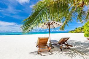 tranquillo spiaggia scena. esotico panorama nel tropicale isola ricorrere, palma alberi, bianca sabbia, blu cielo e mare. luna di miele destinazione, estate vacanza o vacanza concettuale scenario. panoramico paesaggio foto