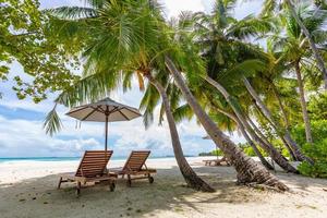 tropicale spiaggia natura come estate paesaggio con sala sedie e palma alberi calma mare per spiaggia rilassare striscione. lusso viaggio paesaggio, bellissimo destinazione per vacanza o vacanza. coppia spiaggia panoramico foto