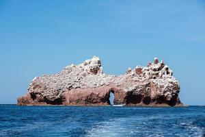 los isolotti foca isola nel Messico baja California foto