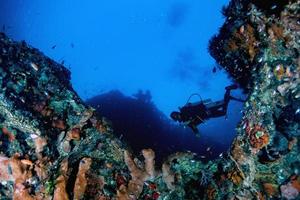 autorespiratore tuffatore subacqueo vicino gigante spugna nel il oceano foto