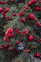 grande natale albero su blu cielo sfondo foto