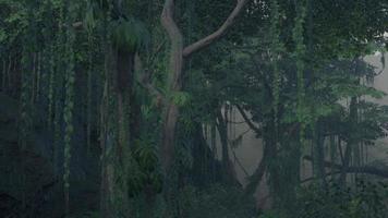 scena guardare dritto in un' denso tropicale pioggia foresta foto