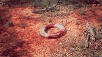 vita squillare boa nel deserto spiaggia foto