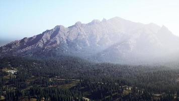 montagne coperto con boschi nel il presto mattina nebbia foto