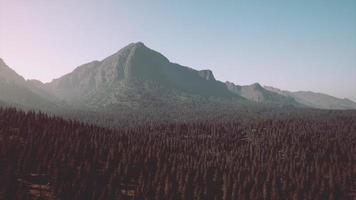 bellissimo montagna Visualizza con pino foresta foto