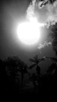 nero bianco immagine verticalmente, betel Noce Vintage ▾ cielo sopra Visualizza alto Noce di cocco albero, paesaggio sole leggero sfondo in giro campagna la zona. Tailandia foto