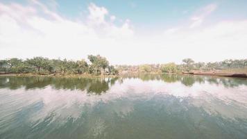 bellissimo colorato estate primavera naturale paesaggio con un' lago nel parco foto