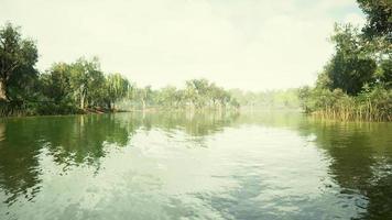 bellissimo lago giardino con riflessione foto