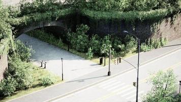 nazione asfalto strada e verde alberi natura paesaggio nel il estate foto