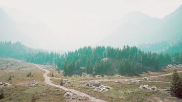 montagna sentiero escursioni a piedi per boschi percorsi foto