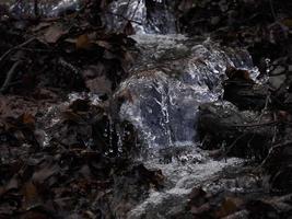 piccolo fluente fiume dovuto per neve fusione formatura un' pulito cascata con fresco freddo acqua circondato di vegetazione montagna foto