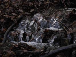 piccolo fluente fiume dovuto per neve fusione formatura un' pulito cascata con fresco freddo acqua circondato di vegetazione montagna foto