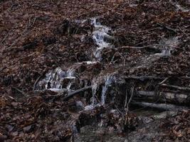 piccolo fluente fiume dovuto per neve fusione formatura un' pulito cascata con fresco freddo acqua circondato di vegetazione montagna foto