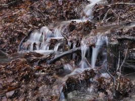 piccolo fluente fiume dovuto per neve fusione formatura un' pulito cascata con fresco freddo acqua circondato di vegetazione montagna foto