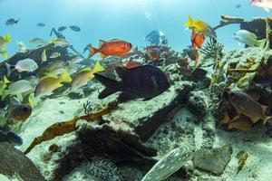 nave relitto nel bali Indonesia indiano oceano foto