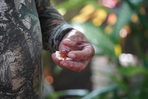 mano fatto fresco formaggio foto