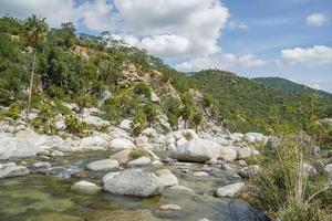 fiume torrente bianca pietre nel san dionisio nel sierra de la laguna baja California sur Messico foto