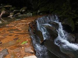 natura sfondo foto di cascata fiume muschio e le foglie