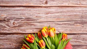 tulipano fiore, creativo foto di tulipani fiori nel un' freddo sfondo
