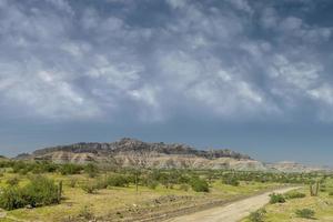 fiorire nel sierra guadalupe roccia e cactus deserto nel baja California paesaggio foto