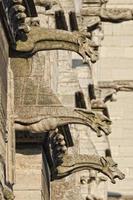 notre dama Parigi statue e doccioni foto