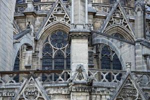 notre dama Parigi statue e doccioni foto