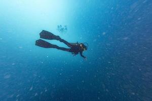 autorespiratore tuffatore nel il in profondità blu oceano foto